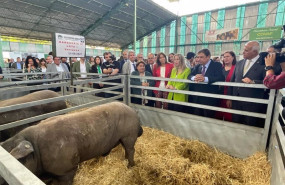 ep el ministro de agricultura y la presidenta de la junta visitan la feria de zafra