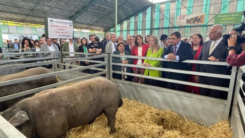 ep el ministro de agricultura y la presidenta de la junta visitan la feria de zafra ep el ministro de agricultura y la presidenta de la junta visitan la feria de zafra