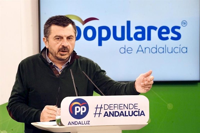 ep el vicesecretario general del pp-a toni martin este domingo