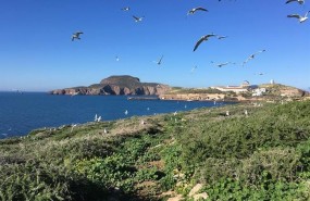 ep islas chafarinas