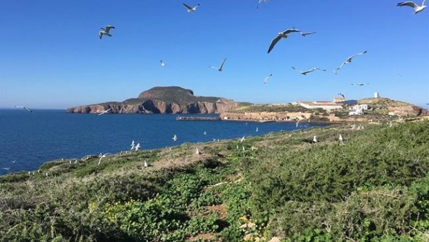 ep islas chafarinas