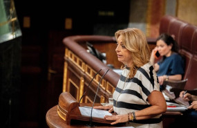 ep la diputada de coalicion canaria cristina valido interviene durante una sesion de control al