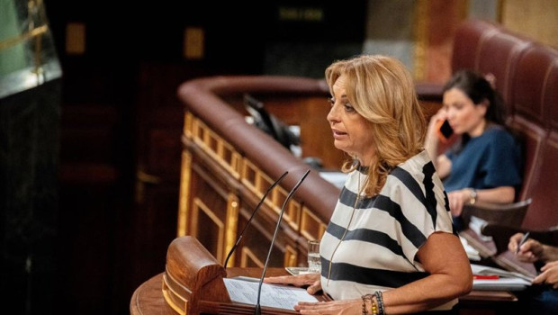 ep la diputada de coalicion canaria cristina valido interviene durante una sesion de control al ep la diputada de coalicion canaria cristina valido interviene durante una sesion de control al