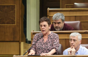 ep la diputada de eh bildu mertxe aizpurua y el portavoz de eh bilud en el congreso oskar matute en