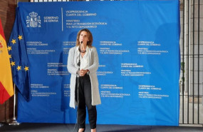ep la vicepresidenta cuarta y ministra para la transicion ecologica y el reto demografico teresa 20210409134906