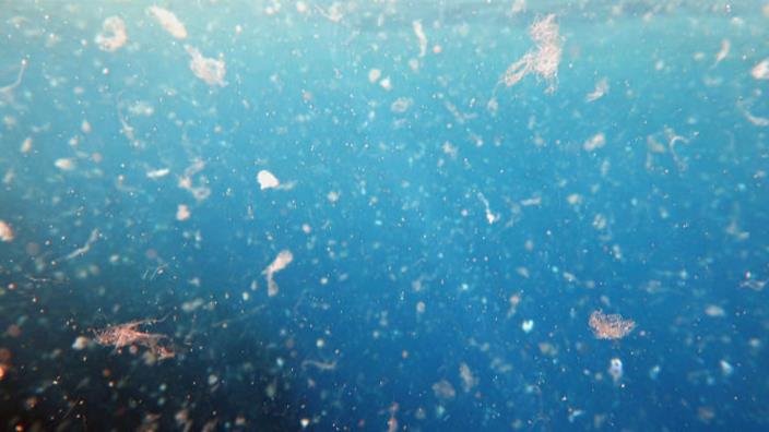 ep microplasticos ep microplasticos