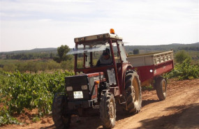ep tractor durante una recogida de uva