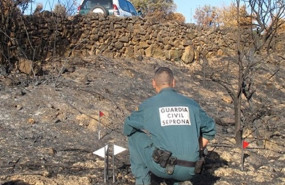 ep un agente del seprona investiga un incendio