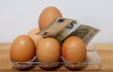 ep varios huevos y dinero a 19 de marzo de 2025 en madrid espana ep varios huevos y dinero a 19 de marzo de 2025 en madrid espana