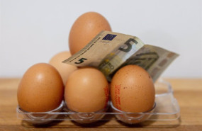 ep varios huevos y dinero a 19 de marzo de 2025 en madrid espana