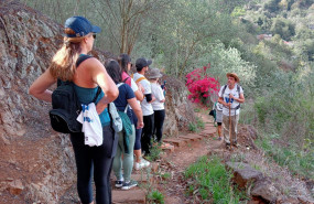 img 20241124 wa0026 1 img 20241124 wa0026 1