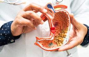 protector gastrico protector gastrico