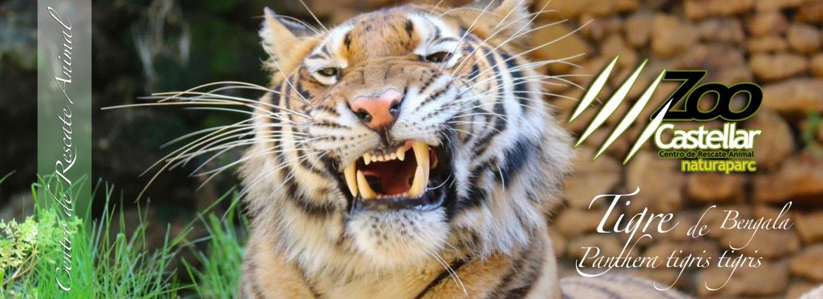 1583396856 3 bannerweb 2018