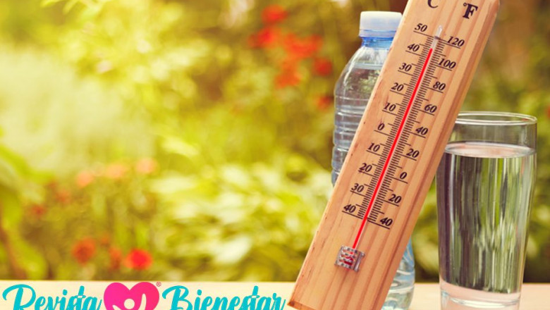 1657278706 revista bienestar