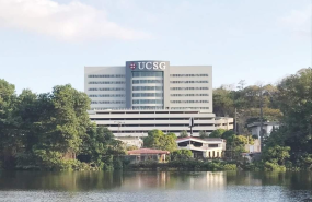 473356326 1770856387101331 6056723614169037473 n 473356326 1770856387101331 6056723614169037473 n