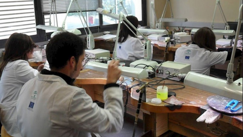 ep alumnos de formacion profesional en andalucia