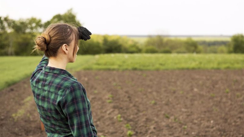 ep archivo el ministerio de agricultura pesca y alimentacion asigna 975 millones de euros en ep archivo el ministerio de agricultura pesca y alimentacion asigna 975 millones de euros en