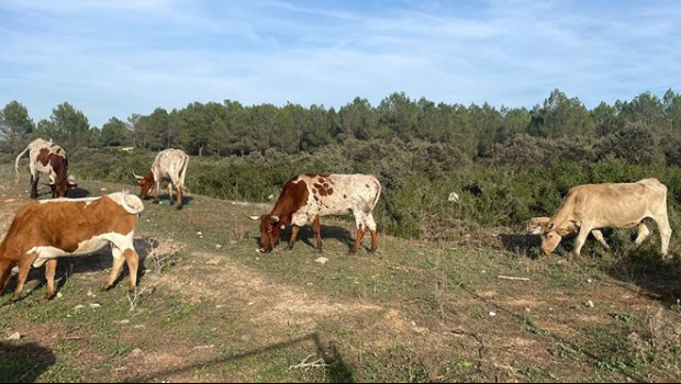 ep archivo   el plazo para solicitar las ayudas de la politica agraria comun para 2026 comienza el