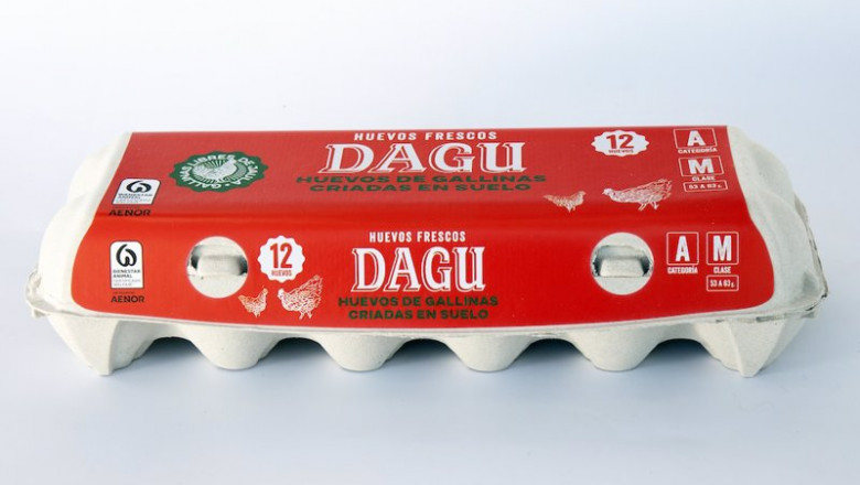 ep archivo huevos de dagu ep archivo huevos de dagu