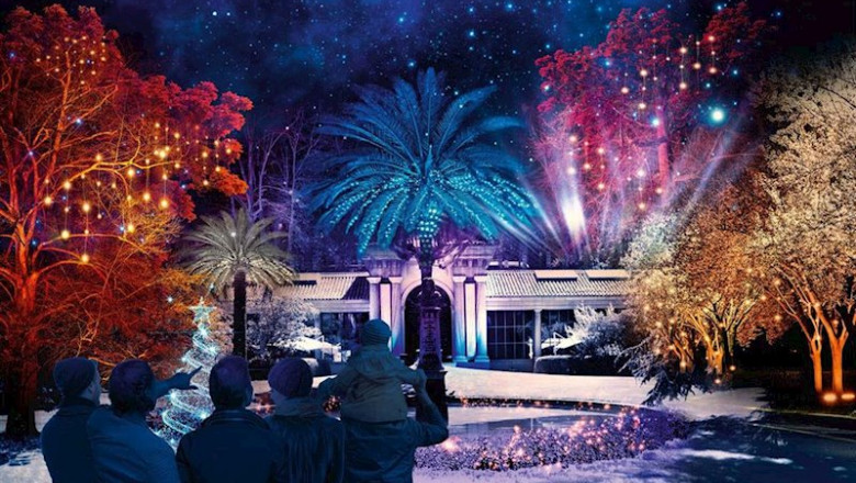 ep el real jardin botanico estrena un proyecto de alumbrado navideno las luces del rjb-christmas la
