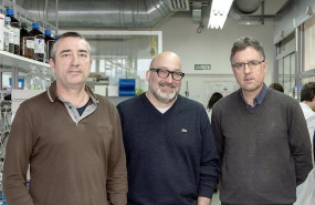 ep investigadores espanoles descubren un compuesto capaz de senalizar el reciclaje de las