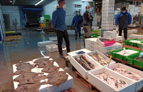 ep mayorista del pescado y marisco expone sus productos en mercabilbao