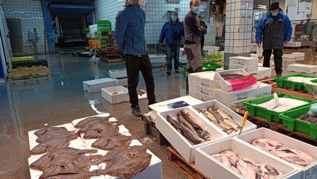 ep mayorista del pescado y marisco expone sus productos en mercabilbao