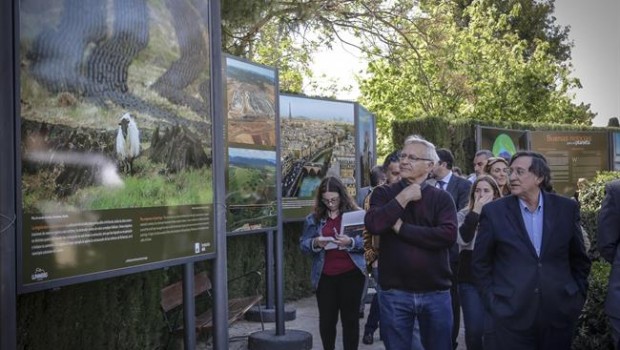 ep ribo ycomisariola exposicion buenas noticiasplaneta