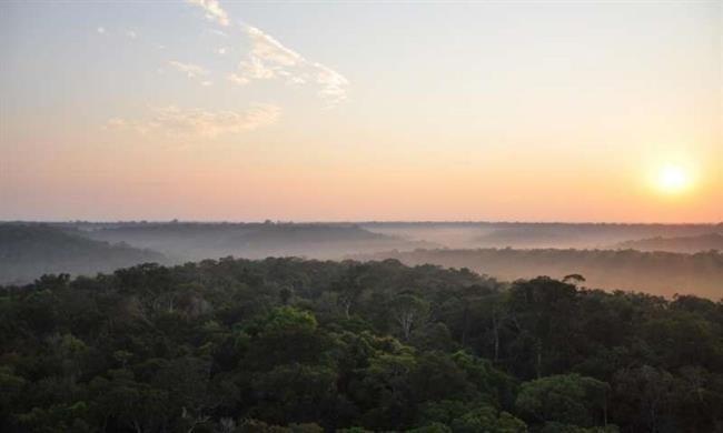 ep selva amazonica