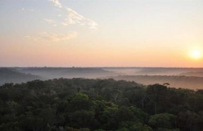 ep selva amazonica