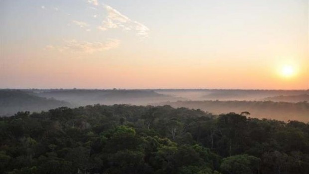 ep selva amazonica