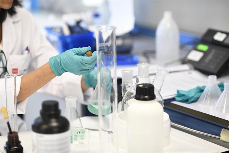 ep una investigadora trabaja en el laboratorio regional de salud publica de la comunidad de madrid ep una investigadora trabaja en el laboratorio regional de salud publica de la comunidad de madrid