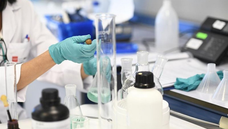 ep una investigadora trabaja en el laboratorio regional de salud publica de la comunidad de madrid ep una investigadora trabaja en el laboratorio regional de salud publica de la comunidad de madrid