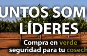 banner 2 20260903103959 