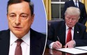 cbdraghitrump cbdraghitrump