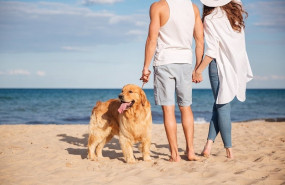 ep archivo   pareja paseando con un perro a la orilla del mar