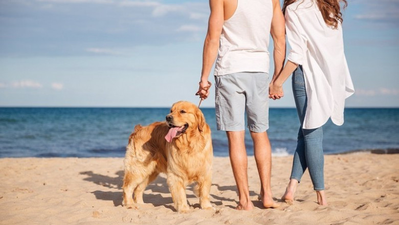 ep archivo   pareja paseando con un perro a la orilla del mar