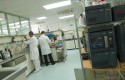 ep areainvestigacionfaes farma