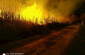 ep incendio forestal en el cami de sa figuereta que se produjo en marzo de 2020