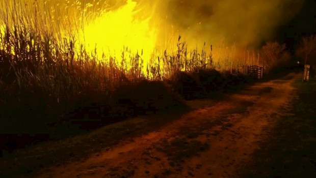 ep incendio forestal en el cami de sa figuereta que se produjo en marzo de 2020
