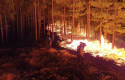 ep incendiogran canaria durantepasada noche ep incendiogran canaria durantepasada noche