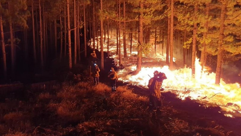 Incendio de Gran Canaria durante la pasada noche | CEDIDO/CABILDO DE GRAN CANARIA ep incendiogran canaria durantepasada noche