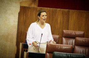 ep la parlamentariacs conche gonzalezdefendera la iniciativapleno