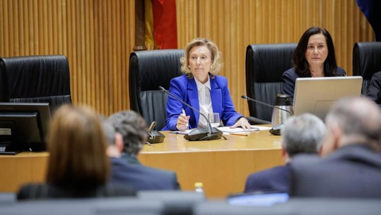ep la secretaria de estado de defensa amparo valcarce compareciendo ante la comision mixta de