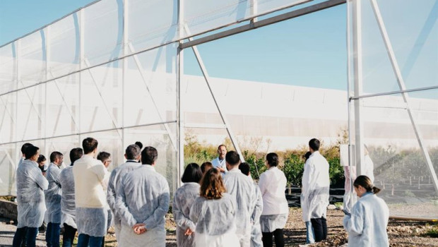 ep lidl supplier academy