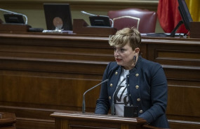 ep nayra aleman portavozgrupo parlamentario socialista