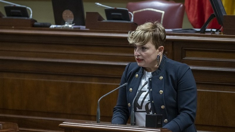 Nayra Alemán, portavoz del Grupo Parlamentario Socialista | PARLAMENTO DE CANARIAS - Archivo ep nayra aleman portavozgrupo parlamentario socialista