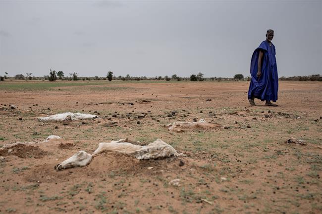 Sequía en Senegal | LYS ARANGO/ACCIÓN CONTRA EL HAMBRE ep sequiasenegal