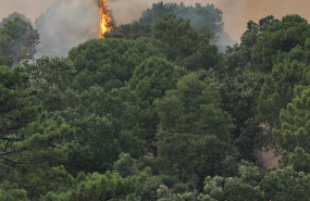 ep vista del incendio cerca de la charca de la nieta a 26 de julio de 2026 en piedralaves avila