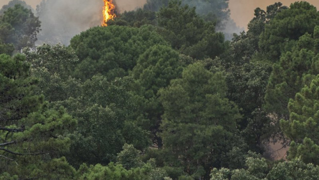 ep vista del incendio cerca de la charca de la nieta a 26 de julio de 2026 en piedralaves avila